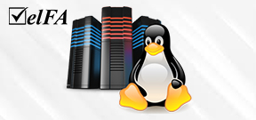 LINUX SUNUCU DESTEĞİ